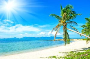 ICD Green Tech – Cung cấp máy chà sàn, xe chở rác, xe quét rác