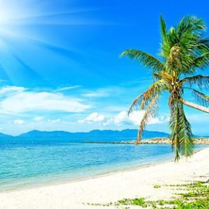 ICD Green Tech – Cung cấp máy chà sàn, xe chở rác, xe quét rác