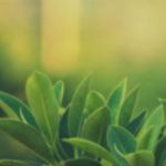 ICD Green Tech – Cung cấp máy chà sàn, xe chở rác, xe quét rác