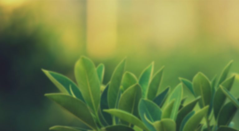 ICD Green Tech – Cung cấp máy chà sàn, xe chở rác, xe quét rác