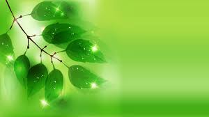 ICD Green Tech – Cung cấp máy chà sàn, xe chở rác, xe quét rác