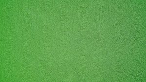 ICD Green Tech – Cung cấp máy chà sàn, xe chở rác, xe quét rác